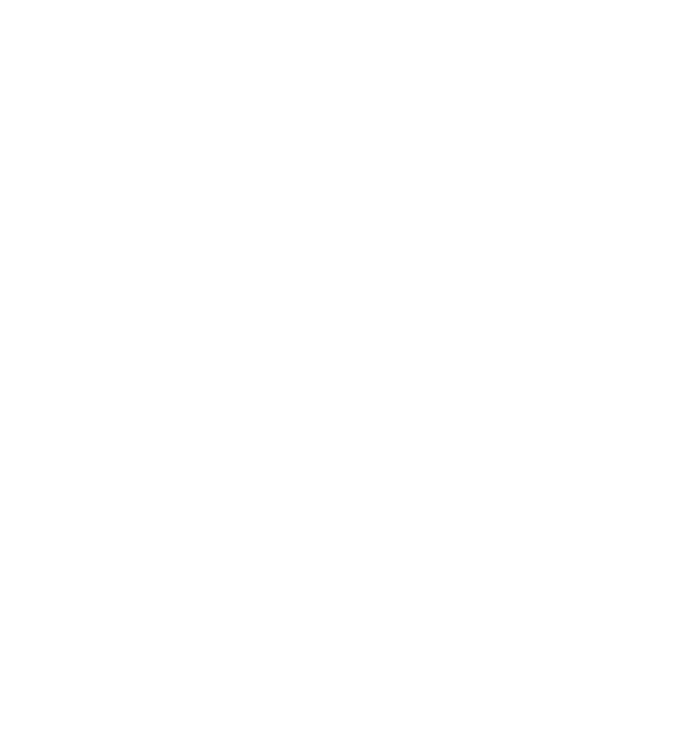 Top Ranked Chamber